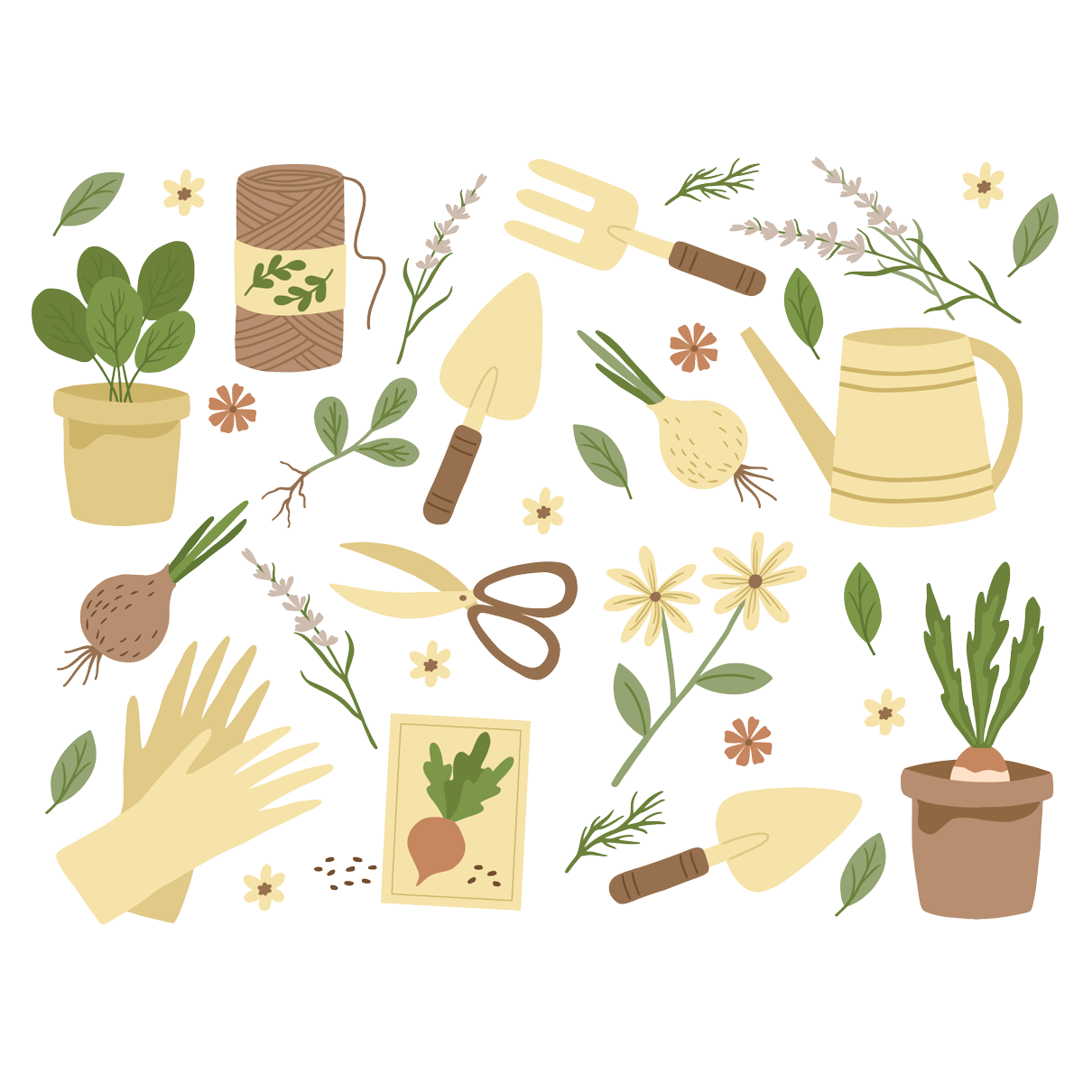 Indoor plants bundle